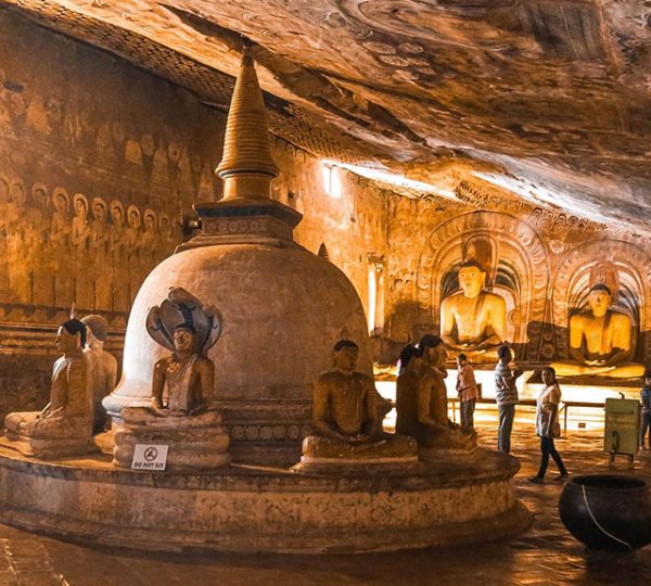 Day tour dambulla