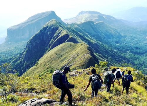 Knuckles Mountain range