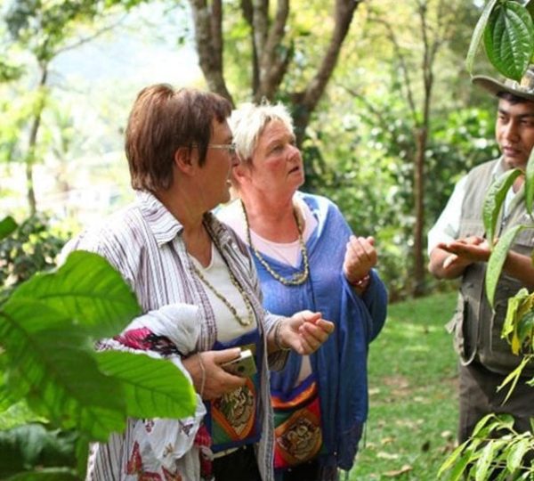 Day tour Spice-Garden