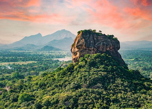 Sigiriya & Dambulla -Explore the Ancient Fortress in the Sky and Golden Caves