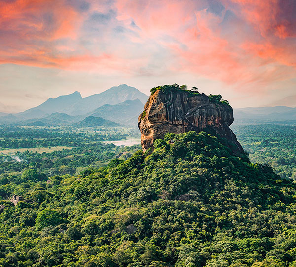 Sigiriya & Dambulla -Explore the Ancient Fortress in the Sky and Golden Caves