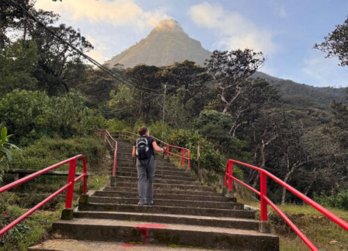 Discover Sri Lanka’s Natural Wonders: A 2-Day Adventure to Adam’s Peak