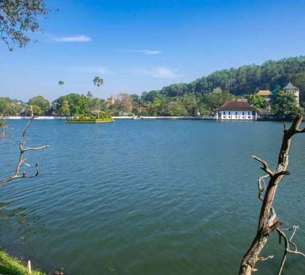 kandy lake buddima
