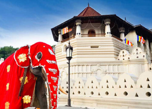 Kandy City -The Jewel of Sri Lanka, Where History & Serenity Unites