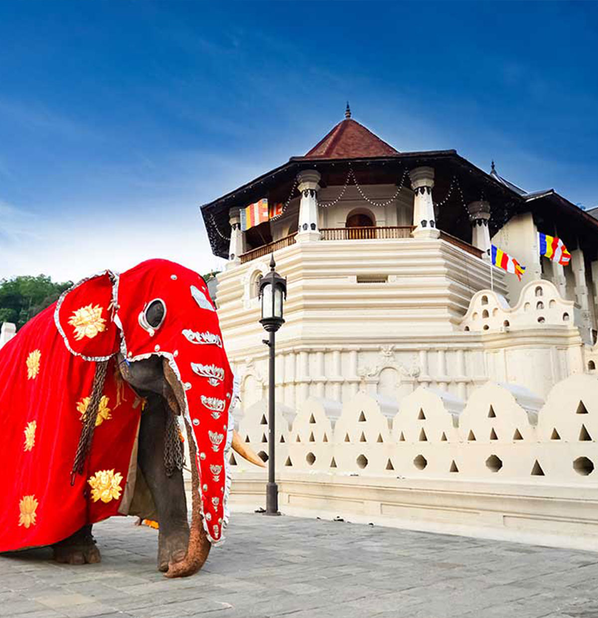 Kandy City -The Jewel of Sri Lanka, Where History & Serenity Unites